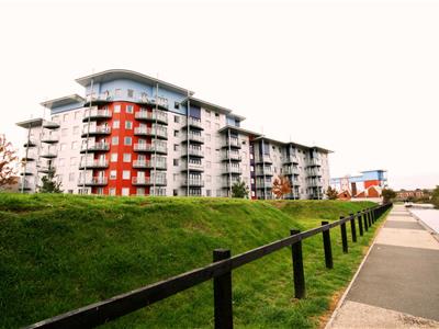 Picture 9